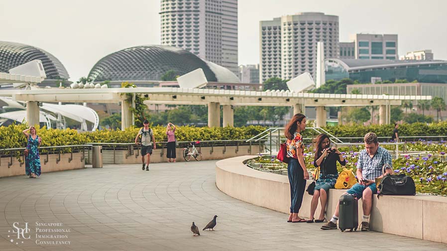Quick Guide To Relocating To Singapore: Visa Requirements, Housing & More